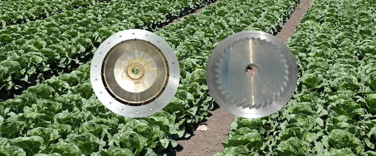 Seed Disc Product Page